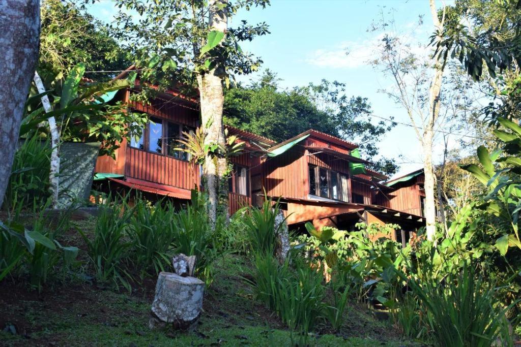 카르타고 Casitas Eco Bambu 빌라 외부 사진
